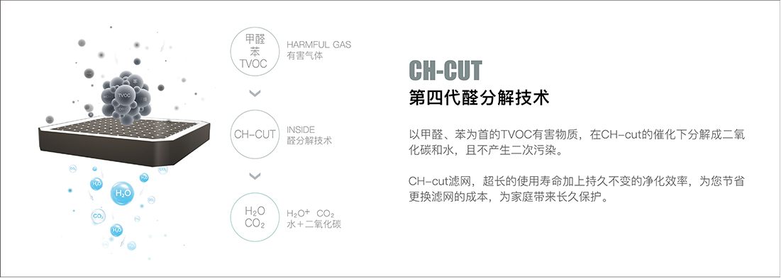 V1S净化原理